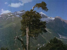 Кабардино-Балкария. Фото с сайта elbrusoid.ru (с)