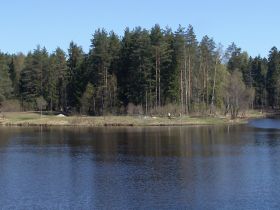 Светлое озеро в Токсово. Фото: toksovo.com