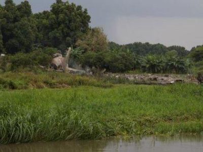 В столице Южного Судана Джубе потерпел крушение грузовой самолёт Ан-12. Фото: Twitter/@EyeRadioJuba