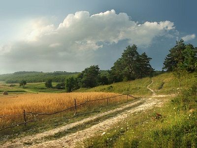 Месяц август. Источник - wonderfulnature.ru