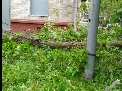 Последствия урагана в Москве. Фото: Каспаров.Ru Последствия урагана в Москве. Фото: Каспаров.Ru