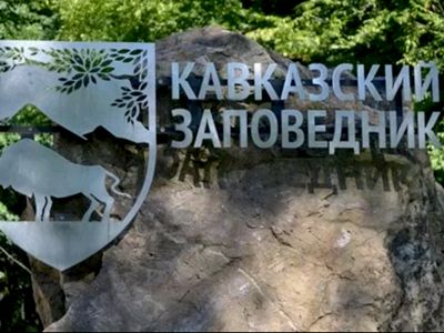 Кавказский заповедник