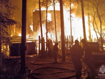 Пожар в садовом товариществе на улице Металлургов. Фото: пресс-служба ГУ МЧС по Свердловской области